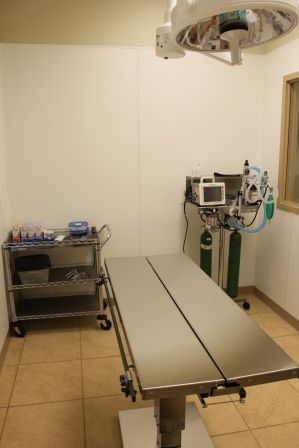 Surgical Suite